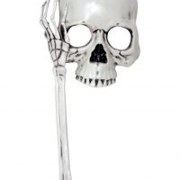 Adult Skull Mask on a Stick