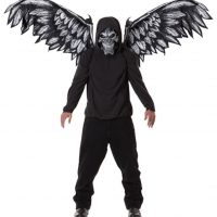 Fallen Angel Mask and Wings