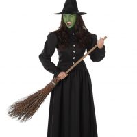 Wicked Witch Women's Costume