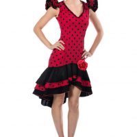 Women's Spanish Dancer Costume