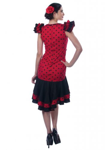 Women's Spanish Dancer Costume