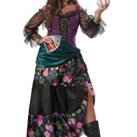 Womens Teller of Fortunes Costume