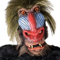 Baboon Monkey Adult Mask