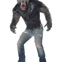 Men's Full Moon Fury Costume