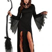 Coven Countess Witch Costume