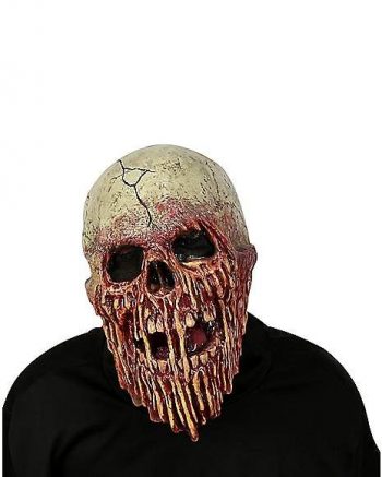 Face Melt Skull Full Mask