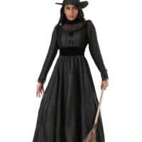 Adult Deluxe Dark Witch Costume