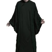 Harry Potter Adult Voldemort Deluxe Costume