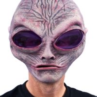 Adult Grey Alien Mask