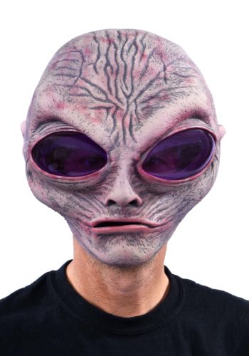 Adult Grey Alien Mask