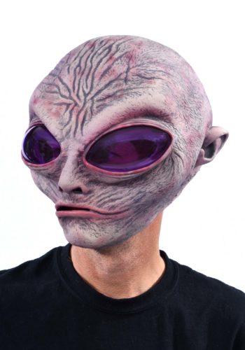 Adult Grey Alien Mask