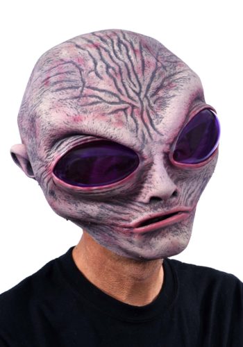 Adult Grey Alien Mask