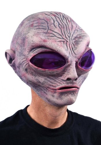 Adult Grey Alien Mask