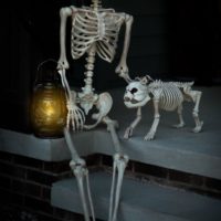 Realistic Skeleton Poseable