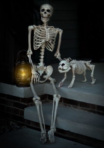 Realistic Skeleton Poseable