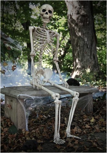 Realistic Skeleton Poseable