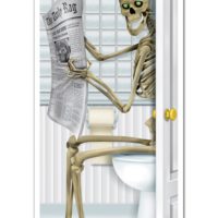 Skeleton Restroom Door Cover