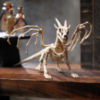 7" Dragon Skeleton