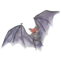 Light Up Demon Bat Decoration