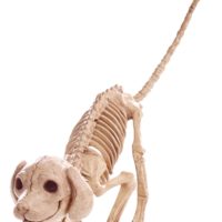 Puppy 7.5" Skeleton