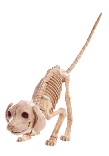 Puppy 7.5" Skeleton