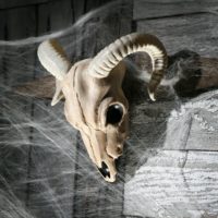 Ram Skull Halloween Decoration