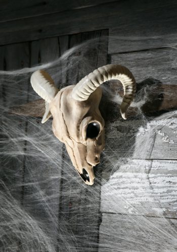 Ram Skull Halloween Decoration