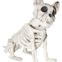 Skeleton Dog Home Decor