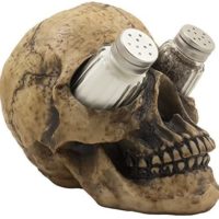 Scary Evil Human Skull Salt and Pepper Shaker Set Figurine Display Stand Holder for Spooky Halloween Party Decorations & Gothic Kitchen Decor Collectible or Novelty Gifts by Home-n-Gifts