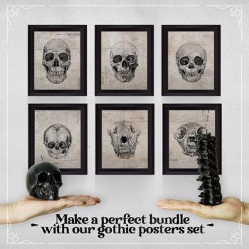 Spine & Skull Candle Set - Scented 4 Pack - Gothic Decor for Bedroom - Black Skull Decor for Home - Goth Room Decor - Horror Decor - Coffin Shelf Gothic Furniture Match - Witchcraft Decor