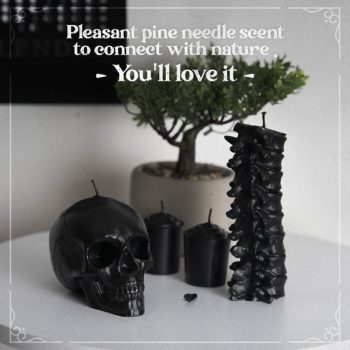 Spine & Skull Candle Set - Scented 4 Pack - Gothic Decor for Bedroom - Black Skull Decor for Home - Goth Room Decor - Horror Decor - Coffin Shelf Gothic Furniture Match - Witchcraft Decor