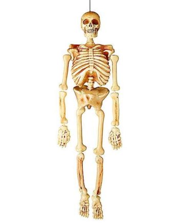 5 Ft Realistic Skeleton - Decorations