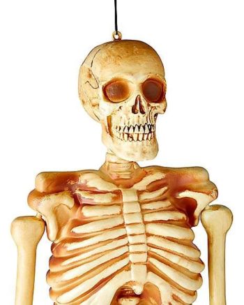 5 Ft Realistic Skeleton - Decorations