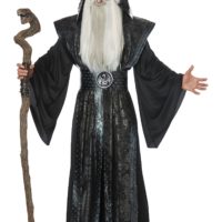 Dark Wizard Mens Costume