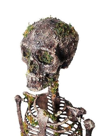 Moss Skeleton