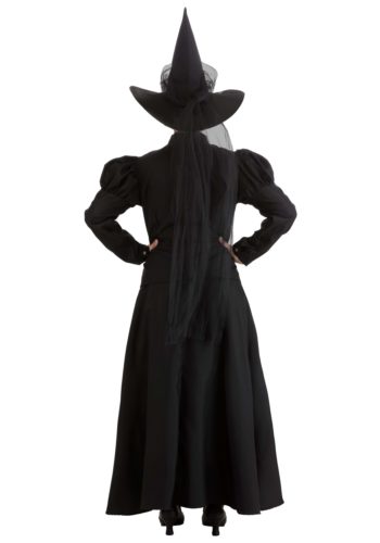 Womens Deluxe Witch Costume