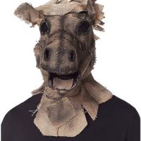 Scarecrow Horse Full Mask