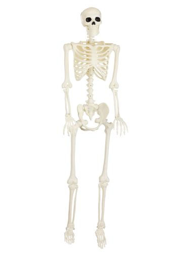 60" Ghostly Blacklight Skeleton