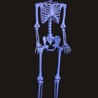 60" Ghostly Blacklight Skeleton