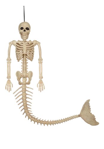 21 Inch Skeleton Mermaid Prop