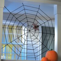 5FT Black Widow Rope Web Prop