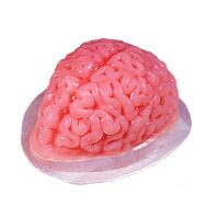 Brain Gelatin 48. fl oz. Mold