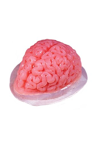 Brain Gelatin 48. fl oz. Mold