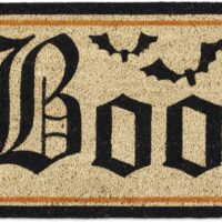 DII Natural Coir Fiber Outdoor Doormat, Decorative Halloween, Pet Friendly Mat, 17x29, Boo