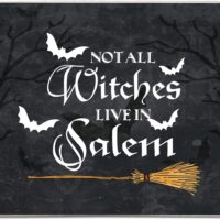 Halloween Door Mat Outdoor Rug Bat Broom Doormat NOT All Witches Live in Salem Rugs Farmhouse Decor Home Kitchen Floor Front Door Mats 17 x 27 Inch