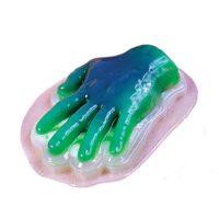 Hand Gelatin Mold