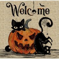 Hexagram Halloween Door Mats 17x29 Inch, Welcome Mats Outdoor, Halloween Cat Farmhouse Decor，Halloween Doormats for Front Door Decorations