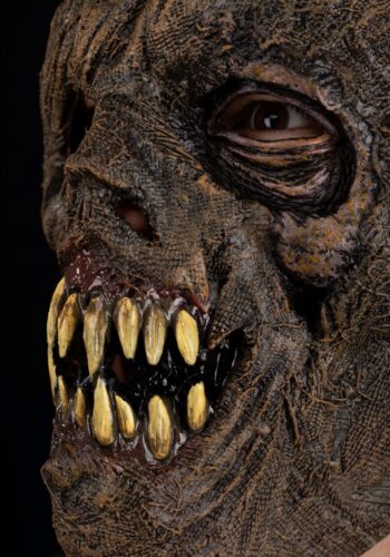 Scarecrow Full Face Mask for Adults