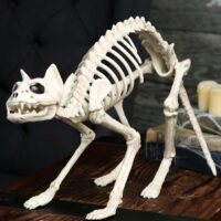 Skeleton Cat Decoration