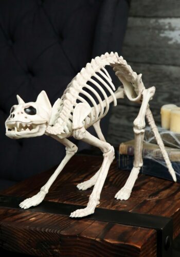 Skeleton Cat Decoration